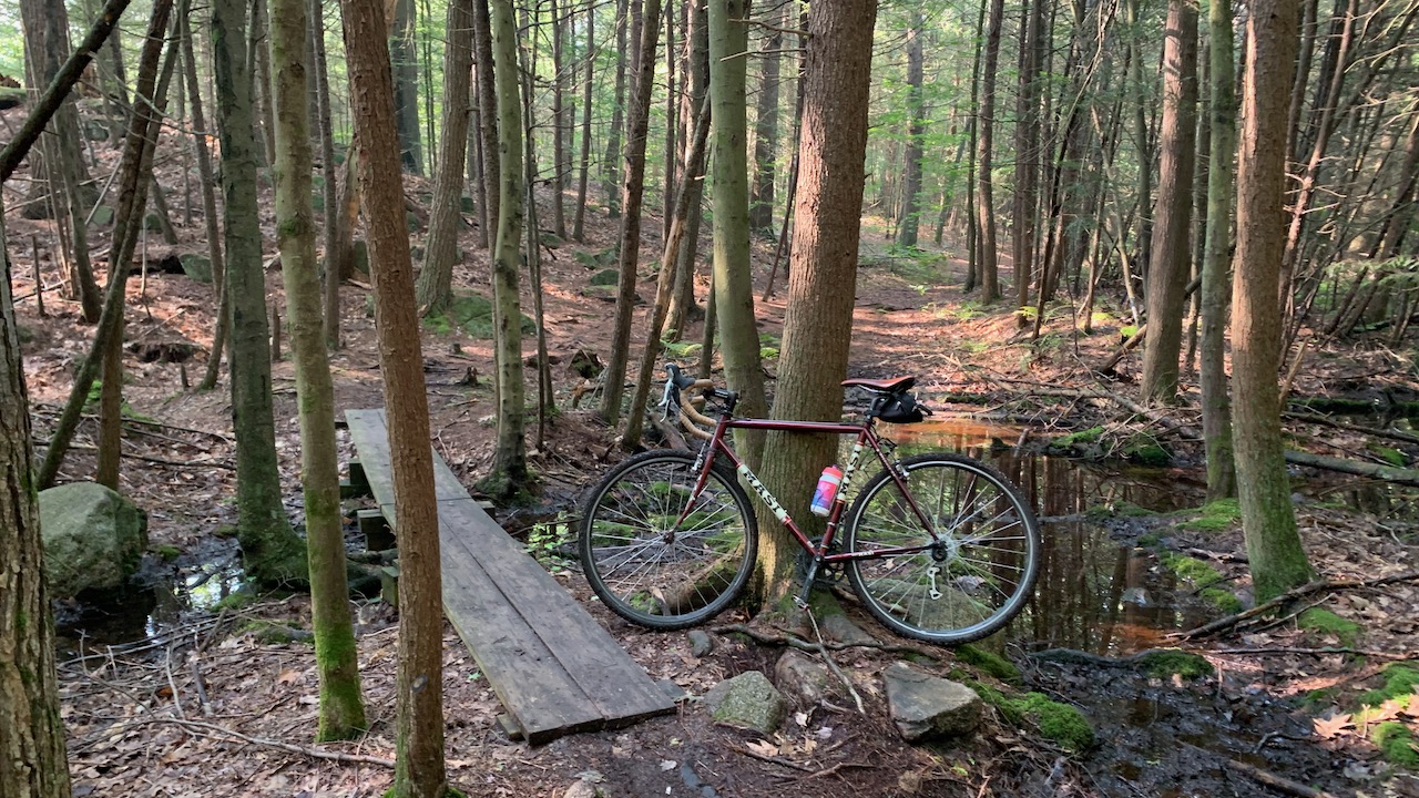 Masi bicycle in the woods